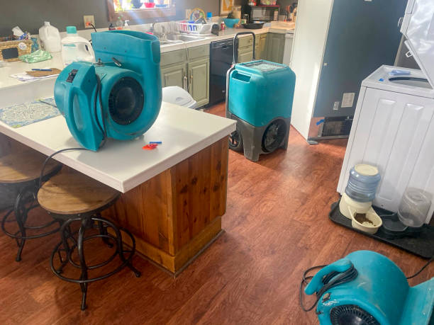 Best Mold removal after water damage  in Toledo, IA