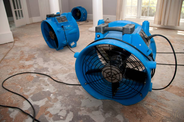 Best Water damage restoration cost  in Toledo, IA