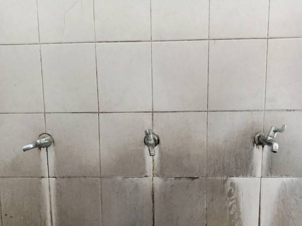 Best Water damage restoration process  in Toledo, IA